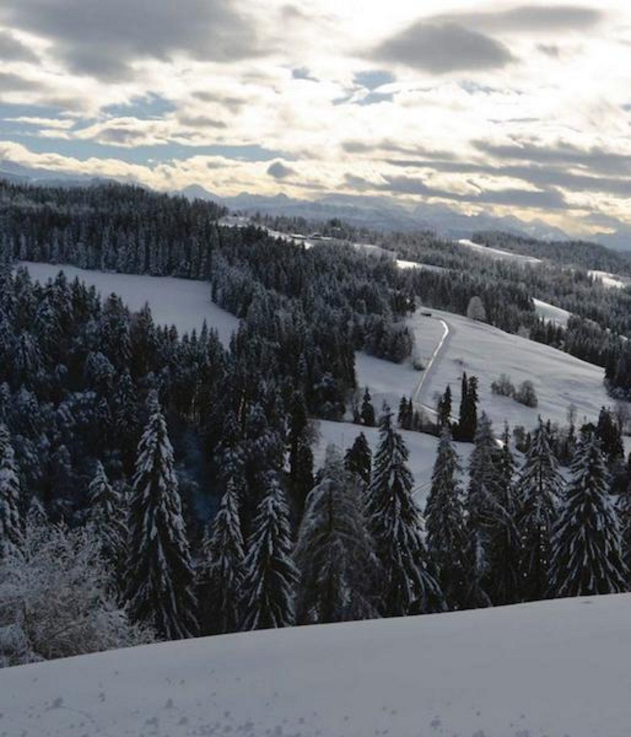 Das Jahr war nicht schlecht, aber die Unsicherheit nimmt zu. Weitblick, wie hier symbolisch im Emmental, hilft beim Umgang mit der Sprunghaftigkeit auf allen Ebenen. (Bild Peter Fankhauser)