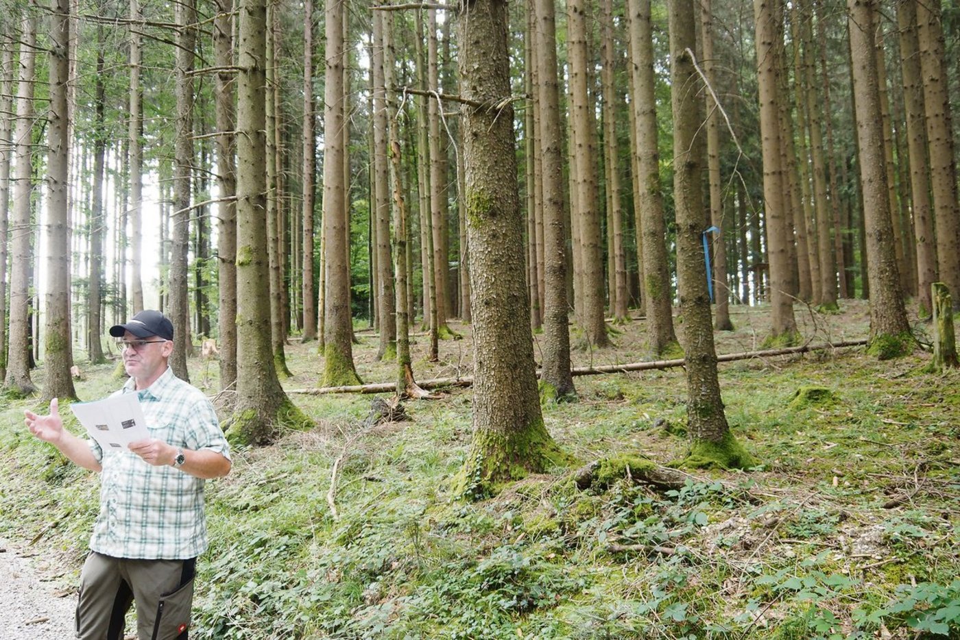 Revierförster Max Brenner vor einem gesunden, etwa 80 Jahre alten Fichtenbestand beim Forsthof Egg im thurgauischen Thundorf, der sich für die Nutzung als Bauholz eignet.