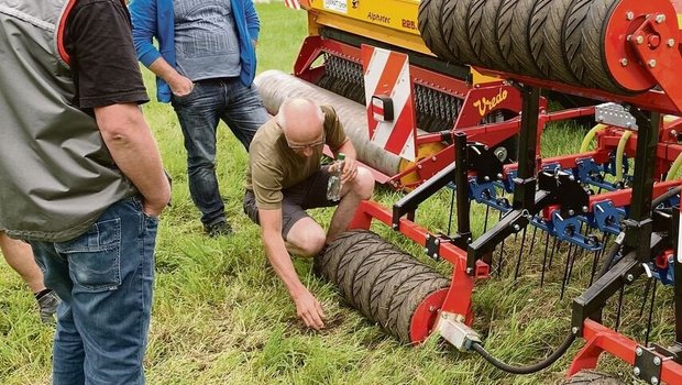 Mit Striegel und Übersaat lässt sich auch die Borstenhirse etwas eindämmen. Mit Striegel und Übersaat lässt sich auch die Borstenhirse etwas eindämmen.