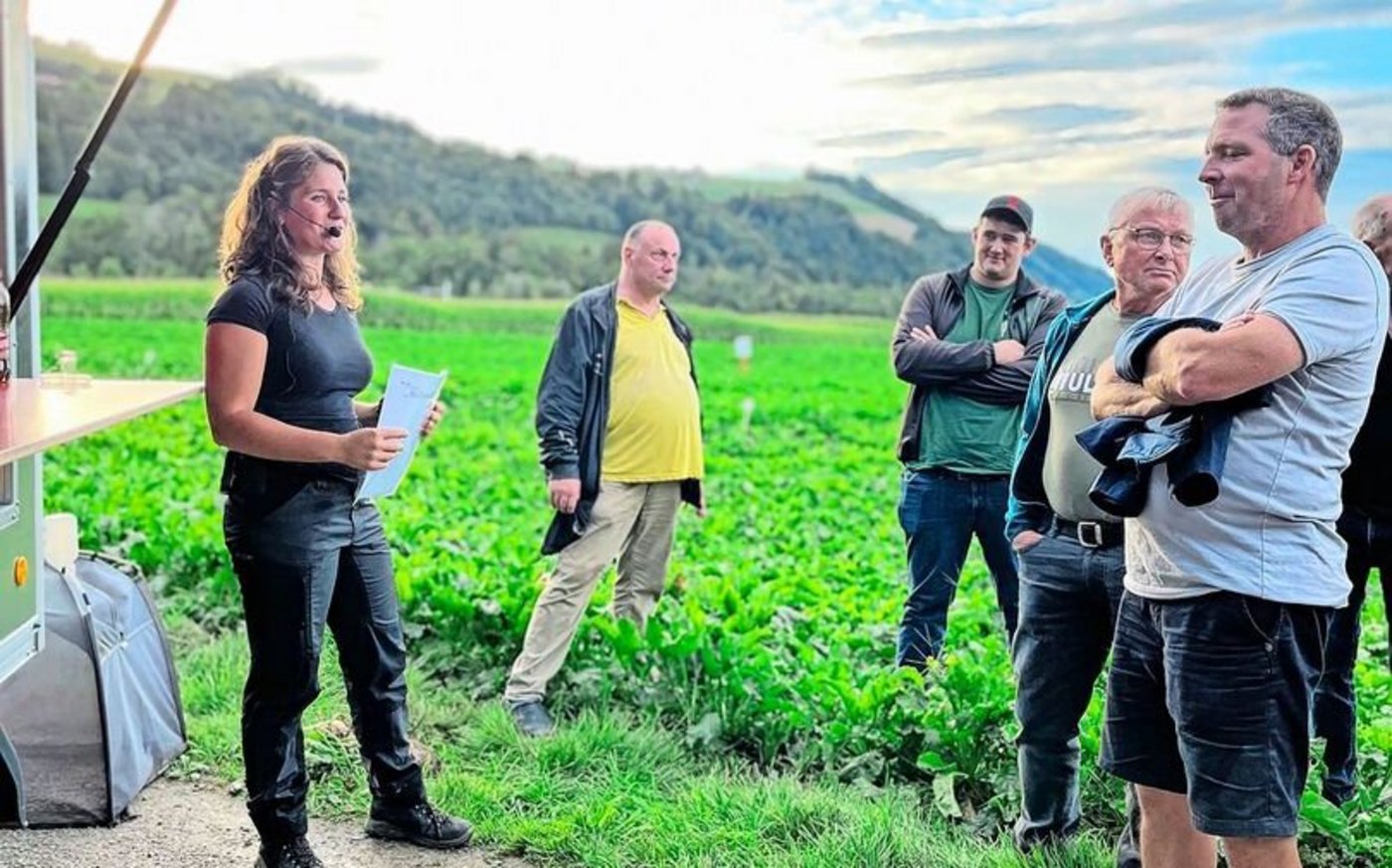 Das Programm ist eng getaktet: Sorten- und Bodenbearbeitungsversuch, Zikandenbekämpfung, Rübenrüssler, Zuckergehalte.