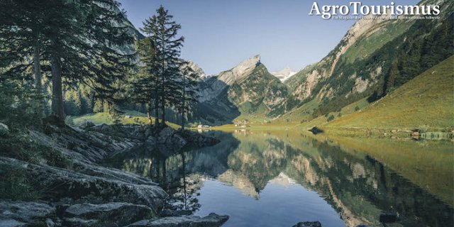 Der Seealpsee ist ein sehr beliebtes Ausflugsziel im Alpsteingebiet. Bild: Stef Kocyla