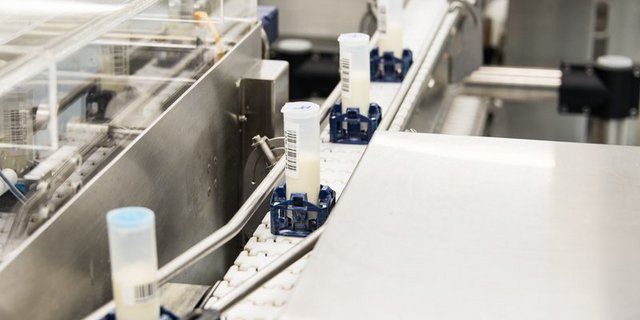 Suisselab führt im Auftrag von Bund und Branche die Milchprüfung durch. Dass die Anforderungen für die Milchprüfung angepasst werden sollen, liegt nicht zuletzt daran, dass sich das Umfeld verändert. (Bilder hja)