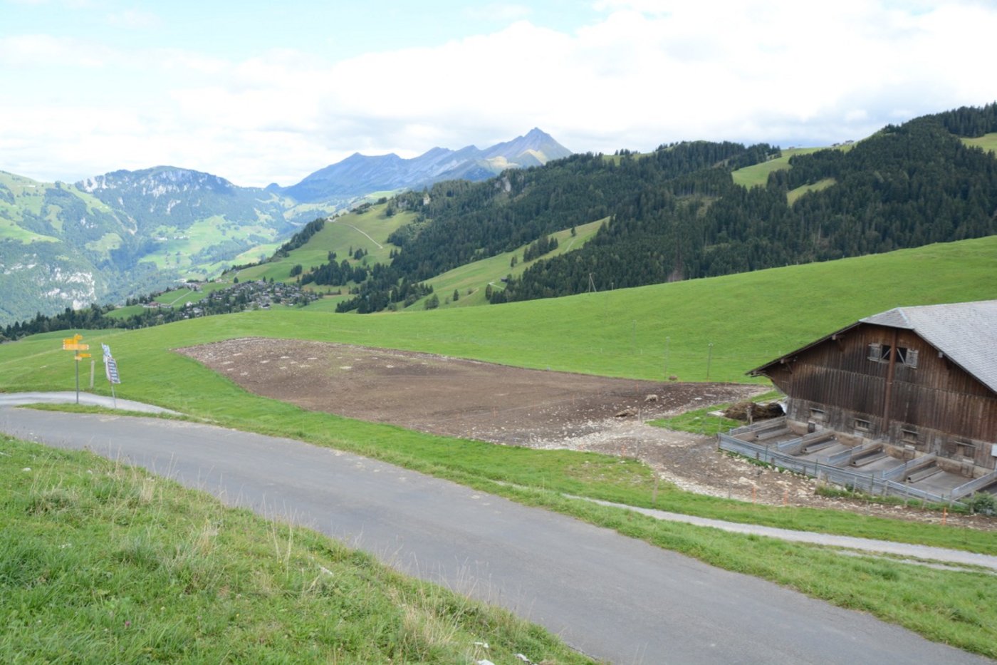 Deren Milch und jene von acht weitern benachbarten Alpen mit rund 150 Kühen verkäst Res Gut. 