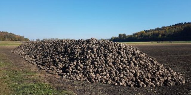 Die Branche kämpft um die Anbaubereitschaft. (Bild lid/ji)