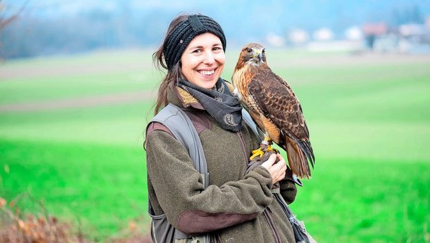 Annika Bütschi und ihr Rotschwanzbussard Aki sind ein eingespieltes Team. 