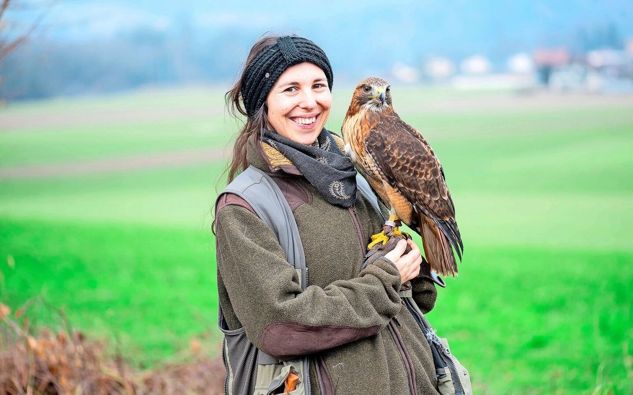 Annika Bütschi und ihr Rotschwanzbussard Aki sind ein eingespieltes Team. 