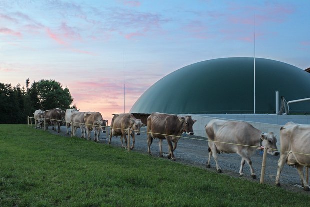 Nationalrat schenkt den landwirtschaftlichen Biogasanlagen Vertrauen, so wie dem Holzhof Landwirtschafts- und Käsereibetrieb in Amlikon-Bissegg. (Bild Ökostrom Schweiz)