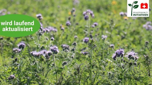 Die BauernZeitung zeigt im Übersichtsartikel zur Pestizidverbots-Initiative alle relevanten Inhalte für die Abstimmung vom 13. Juni (Bild: BauernZeitung/Ruth Aerni)
