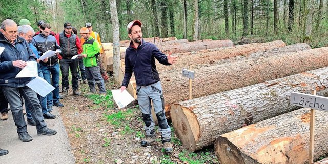 Platzchef Lukas Gerig (r.) informiert über die Wertigkeit der aufgeführten Wertholzstämme. Auch Nadelhölzer könnten gute Preise generieren. 