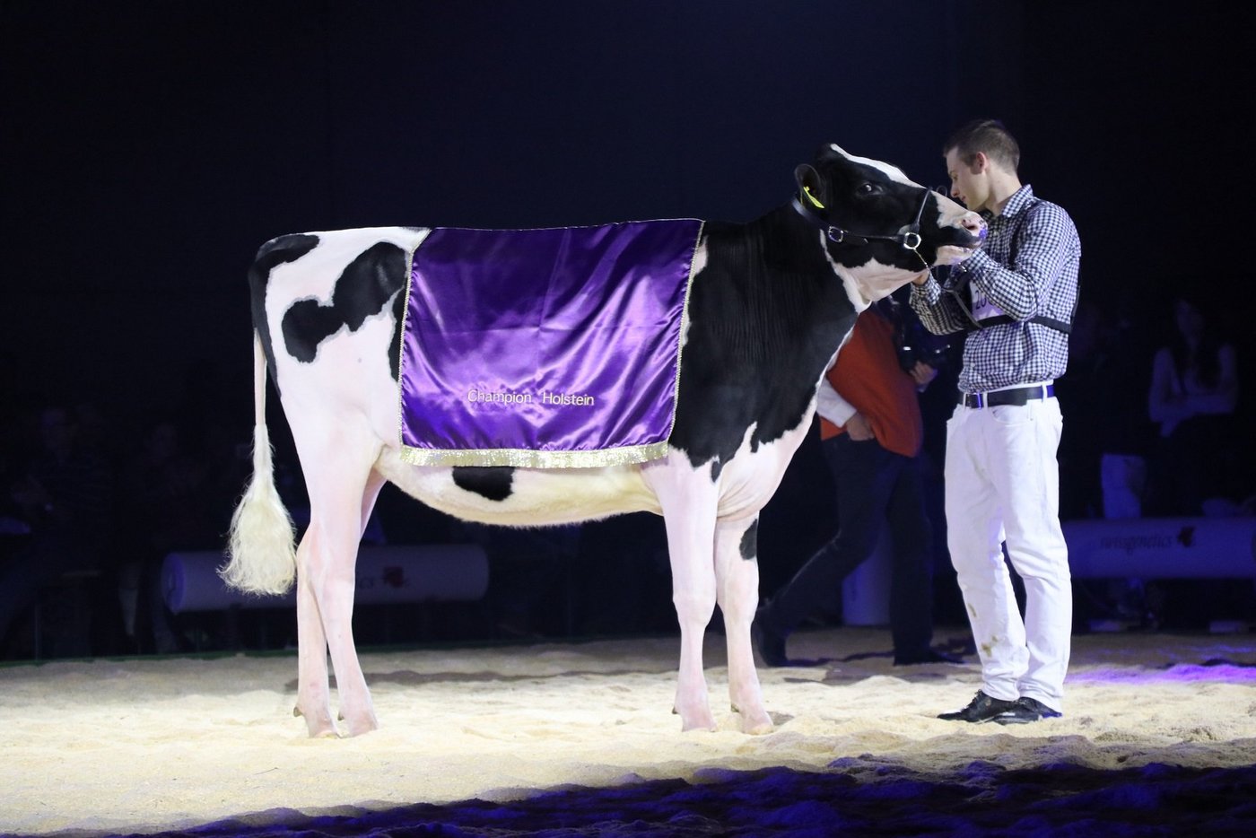 Swiss-Repro Mccutchen Panda von Sabrina und Seline Krebs, Gerzensee BE, wird Supreme Champion.