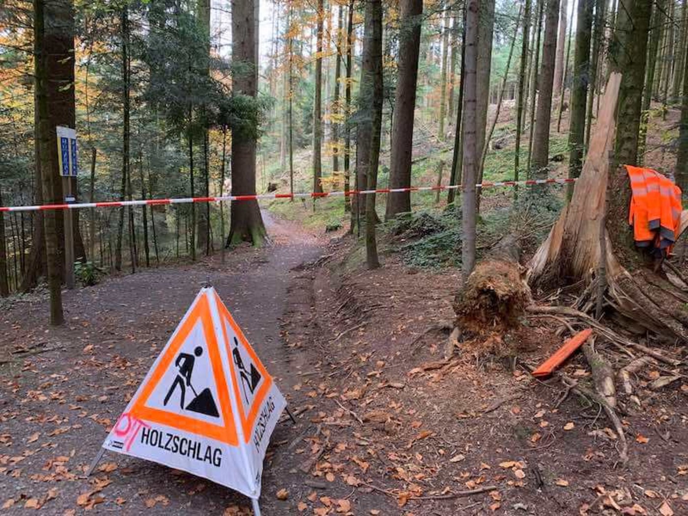 Sicherheitsschlag entlang eines Vita-Parcours.