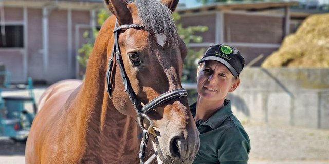 Ein exterieurstarkes Traumpaar: Freibergerhengst Latino und Manuela Kuster.