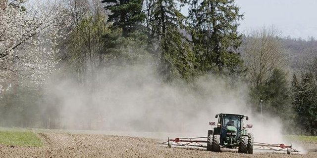 Ein Landwirt beim Blindstriegeln: Nur ein Beispiel von vielen für die ökologischen Fortschritte, welche die Landwirtschaft seit Jahrzehnten macht. (Bild Anna Suter)