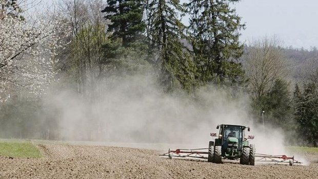 Ein Landwirt beim Blindstriegeln: Nur ein Beispiel von vielen für die ökologischen Fortschritte, welche die Landwirtschaft seit Jahrzehnten macht. (Bild Anna Suter)