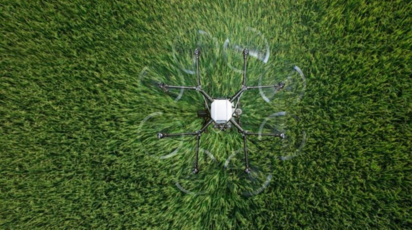 Weniger Pflanzenschutz, bedeutet mehr Handarbeit. (Symbolbild Pixabay)