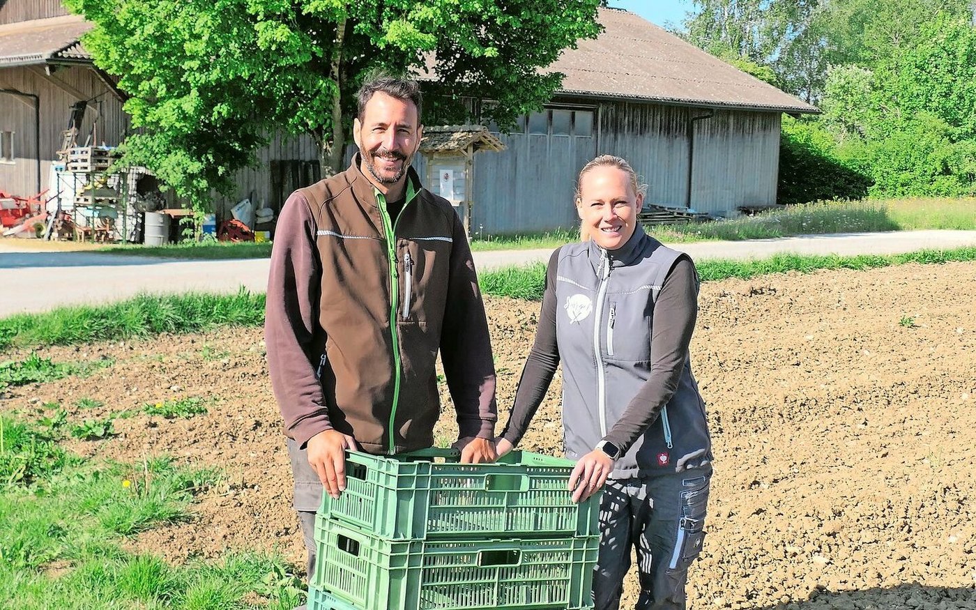 Noch bis Mitte Juni sind Nicole und Peter Bernhard täglich für die Spargelernte im Einsatz. 