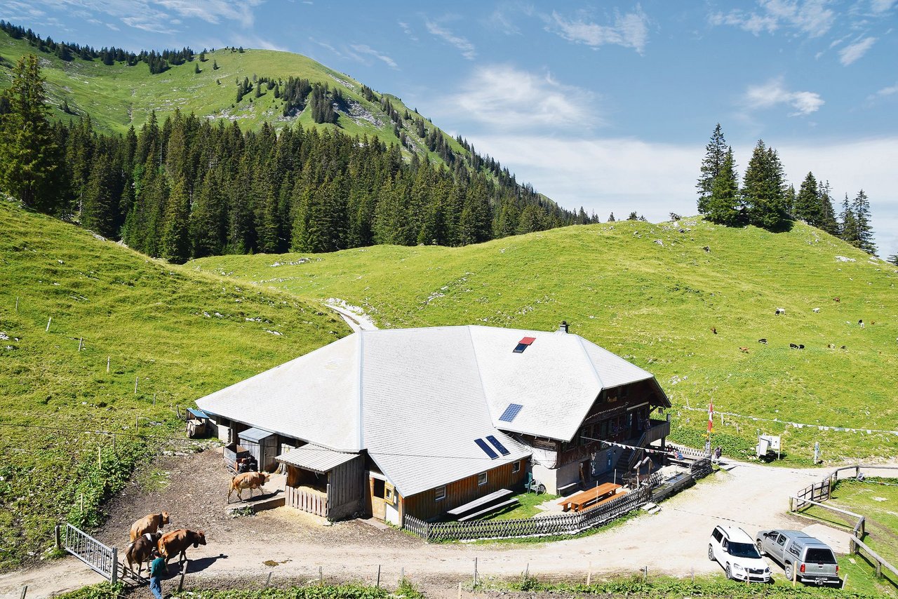 Die Alphütte der Alp Cerniets, liegt fast zuhinterst in der Breccaschlund auf 1525 m ü. M. 
