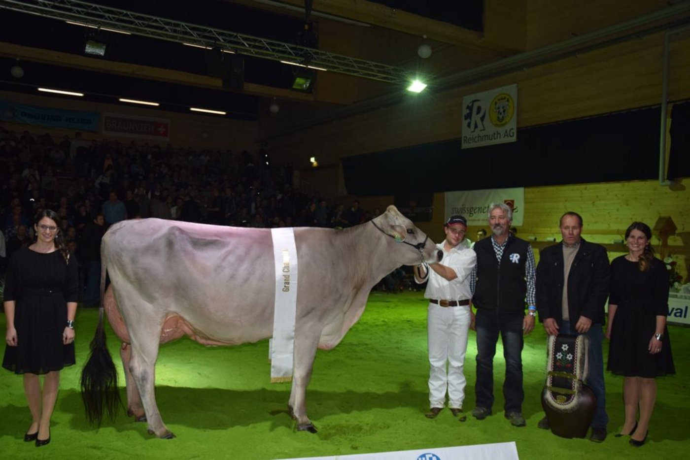 Die Grand Champion: Jongleur Elisa von Adrian Arpagaus aus Falera GR. 
