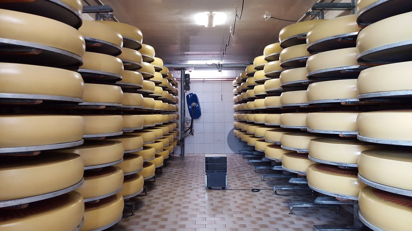 In Sachen Nachhaltigkeit gibt es Diskussionen um den Unterschied zwischen gewerblicher und industrieller Käsereimilch. (Bild Emmentaler Switzerland)