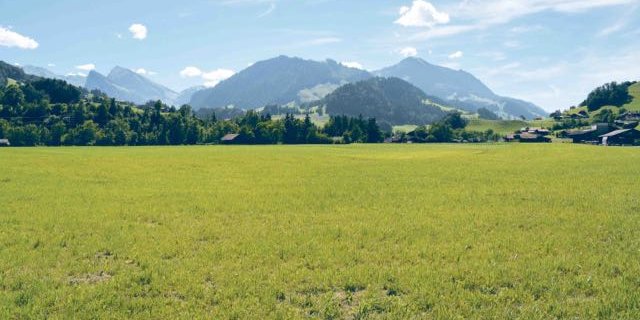 Hier soll sie stehen: Der Verein «Naturparkkäserei Diemtigtal», bestehend aus der IG Milchverarbeitung Thomas Aeschlimann, dem Naturpark Diemtigtal und der Aaremilch AG plant eine Käserei im Diemtigtal. (Bild Daniela Joder)