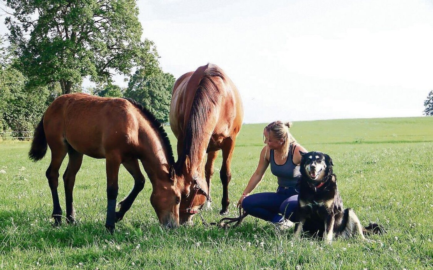 Mandy Baume liebt Freiberger und das Leben im Jura. Die junge Frau, die auf einem Mutterkuhbetrieb in Saignelégier aufgewachsen ist, will ein Agronomie-Studium in Angriff nehmen. 