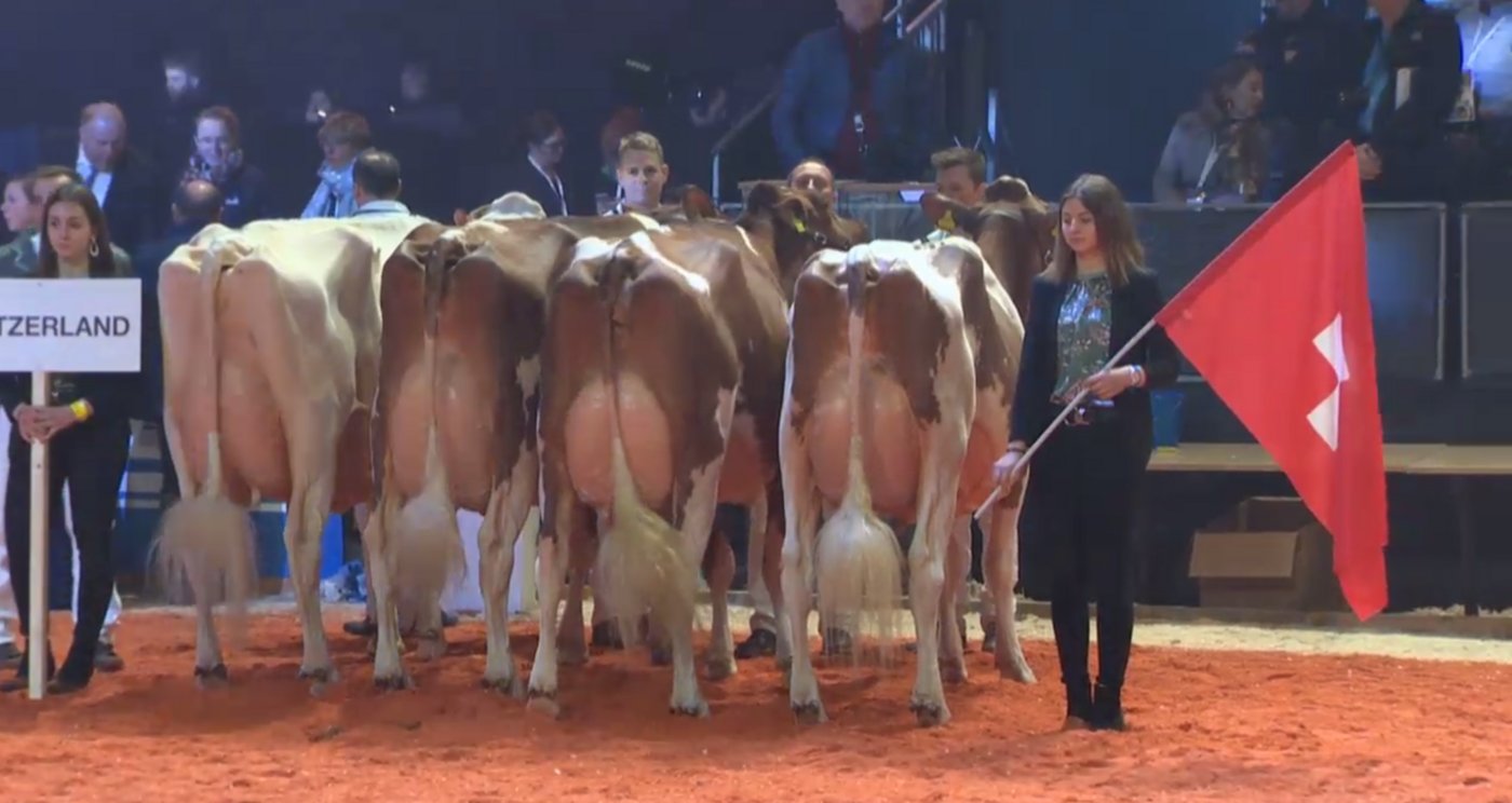 Die Schweiz gewann auch den Gruppenwettkampf  mit den Kühe Pastique, Amanda, Brook und Sayuri.