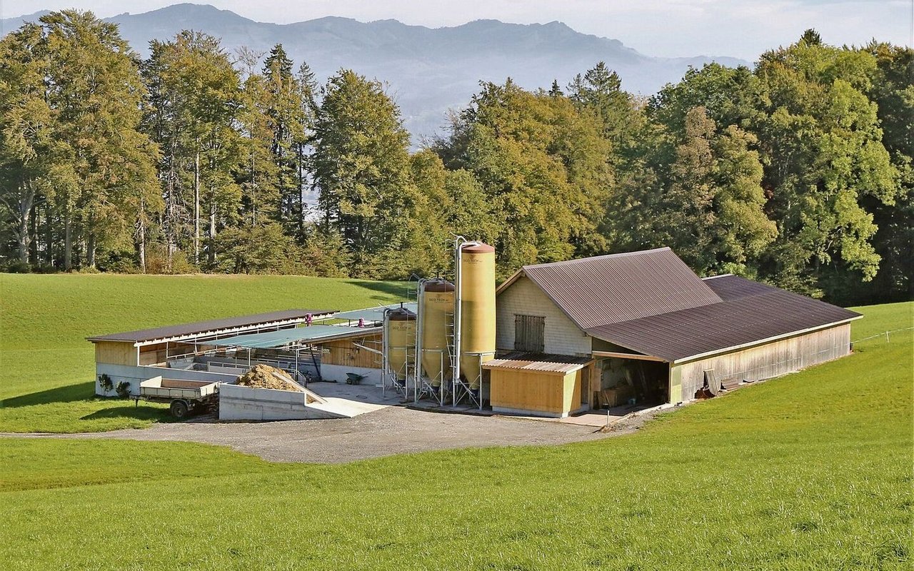 Die Schweinemast mit 450 Mastplätzen ist für die Familie Ulrich ein wichtiger Betriebszweig.
