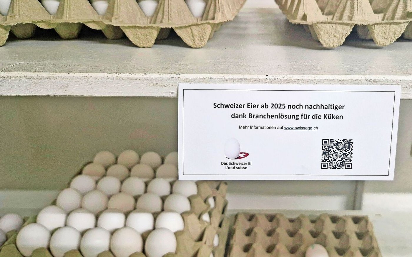 Hinweis von Gallo Suisse für das Verkaufsregal, der auf weitere Informationen verweist.