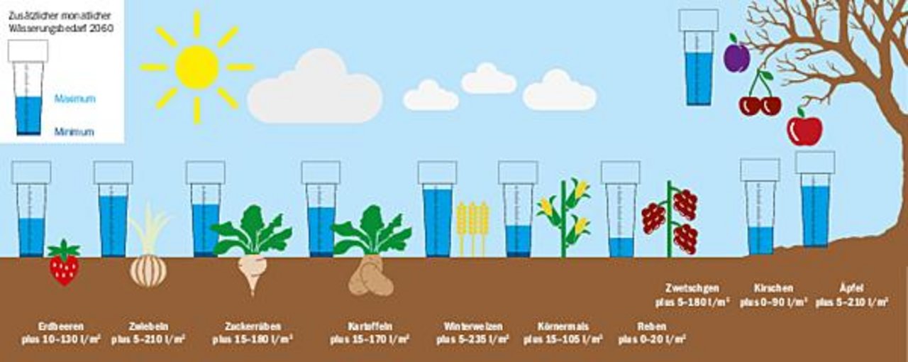 Zum Beispiel brauchen Kartoffeln im Jahr 2060 monatlich 15 bis 170 Liter mehr Bewässerung pro Quadratmeter als heute je nach minimaler bis maximaler Klimaerwärmung. (Grafik BauZ, Daten Agroscope 2015)