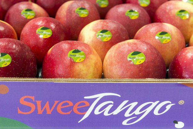 SweeTango Europe zeigt sich mit dem Absatz der neuen Apfelsorte sehr zufrieden. (Bild SweeTango Europe)