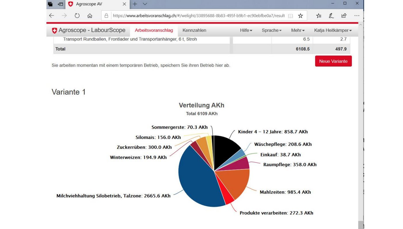 In der Ergebnisansicht besteht die Möglichkeit, die Resultate in eine PDF- oder eine ExcelDatei zu exportieren. (Screenshot LabourScope)