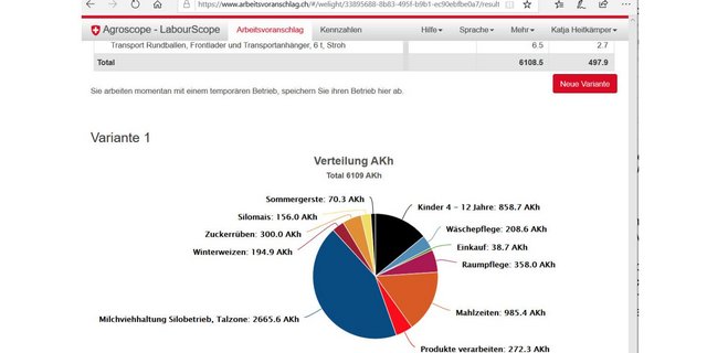 In der Ergebnisansicht besteht die Möglichkeit, die Resultate in eine PDF- oder eine ExcelDatei zu exportieren. (Screenshot LabourScope)