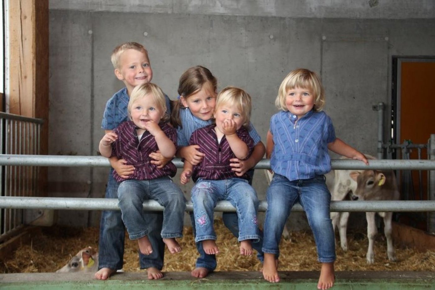 Auch die Schweizer Landwirtschaft besteht praktisch ausschliesslich aus Familienbetrieben. (Bild: SBV)