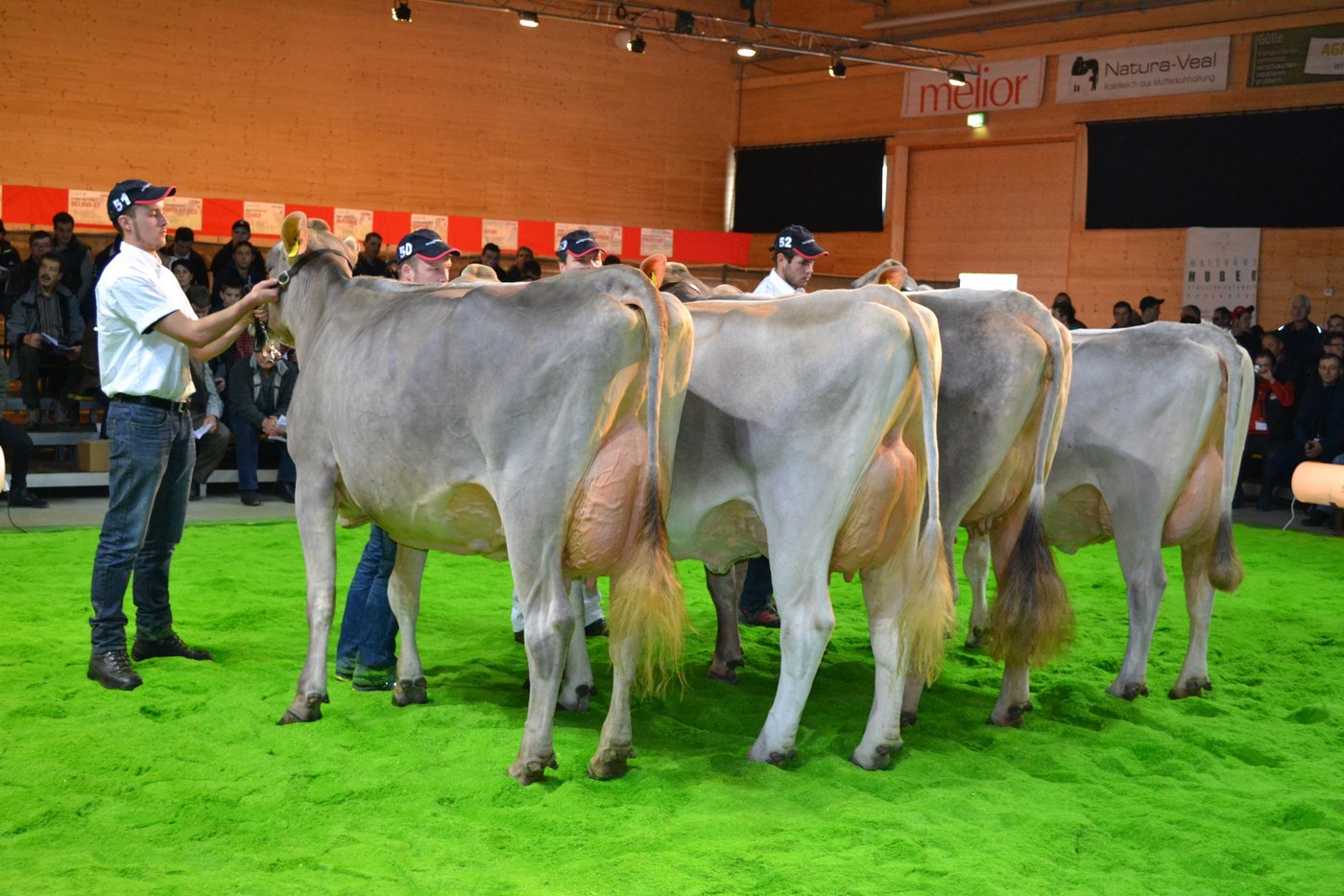 Die Gruppe von Dojano liess jedes Züchterherz höherschlagen.