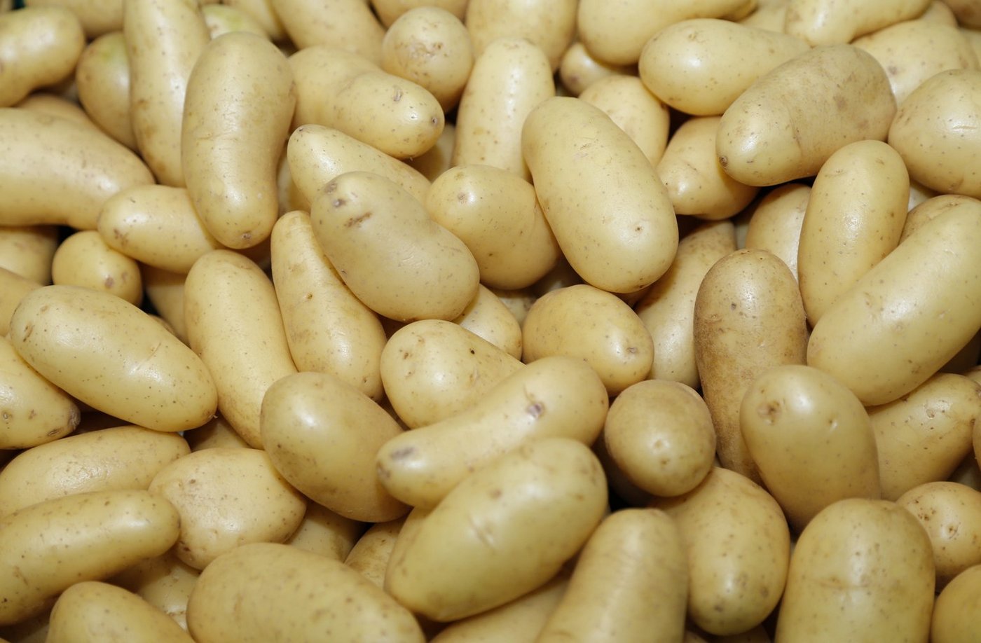 Sind in der Küche wahre Multitalente: Kartoffeln. (Bild lid)