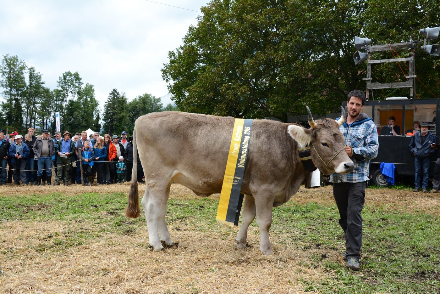 : Rinderchampion OB, Lorento Lorena von Thomas Arnold, Bürglen.