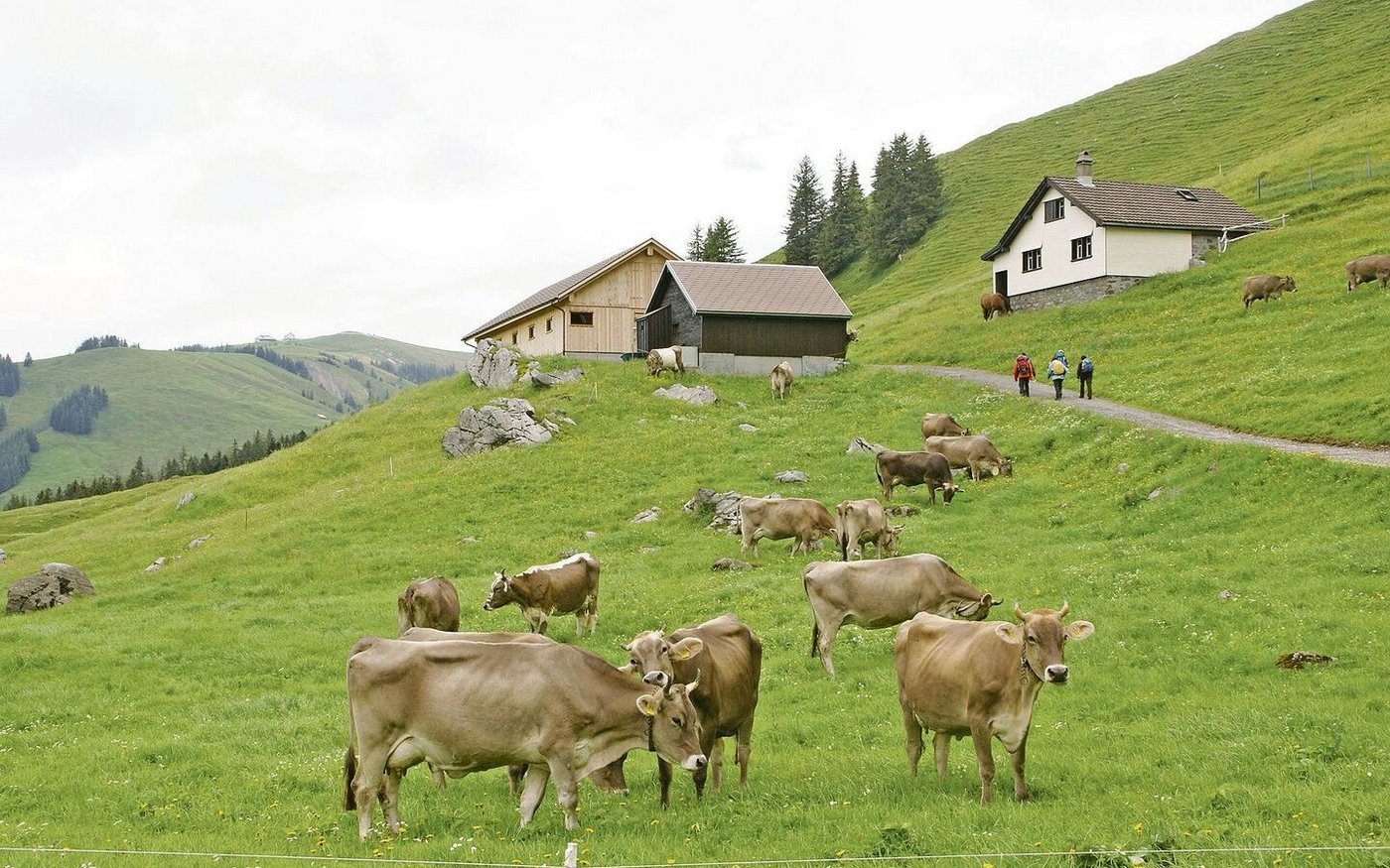Trockenperioden führten dazu, dass Wasser auf der Schwägalp knapp wurde. Das soll sich ändern.