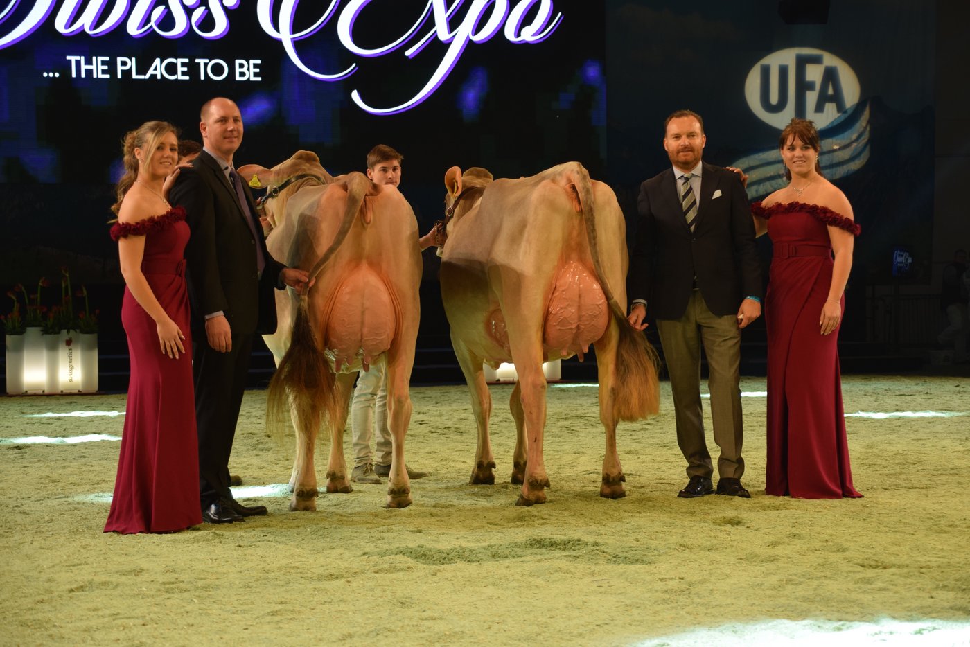 Intermediate Schöneuter-Champion (rechts): Big Star Berna, Albert Peter, Lienz Vize-Schöneuter (links): Felder’s BS Joe Jolene, Franz und Pascal Felder, Marbach 