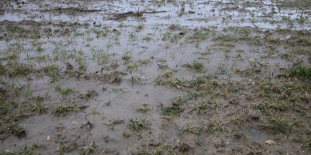 Grosse Niederschlagsmengen vor Pfingsten. (Symbolbild BauZ)