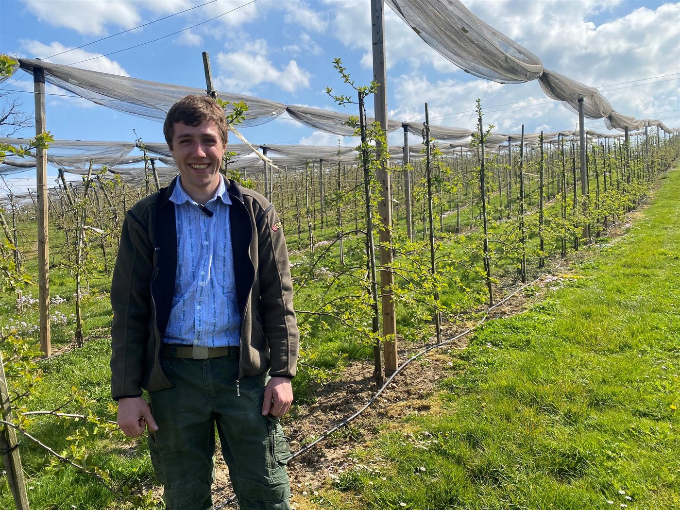 Gabriel Frei in der Obstanlage seines Lehrbetriebs auf dem Liebensberg.(Bilder sjh)