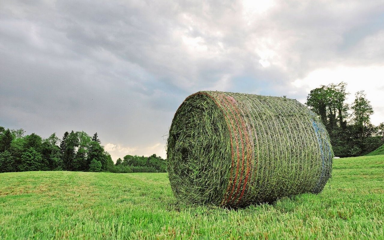 Unberechenbare Natur: Noch scheitert die KI in der Landwirtschaft oft an der Komplexität von Wetter und Ökosystem.