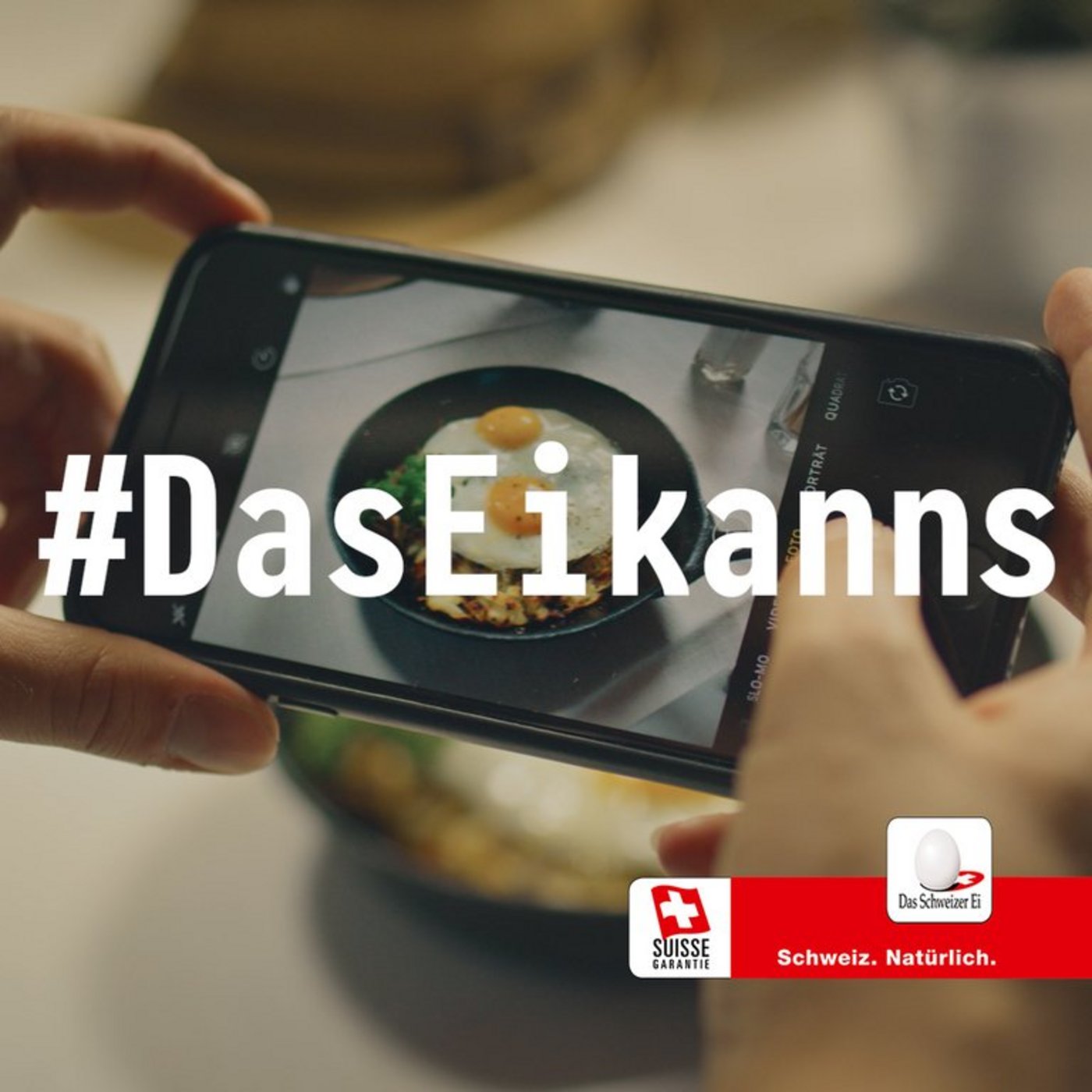 Das Ei uns seine Vorzüge stehen in der neuen Kampagne im Vordergrund. (GalloSuisse)