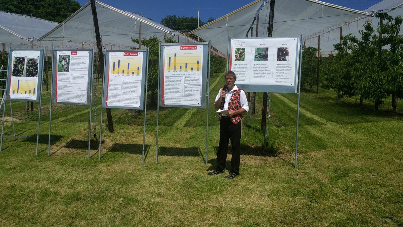 Der Breitenhof Betriebsleiter Thomas Schwizer berichtet über Aussichten und Erfolge von neuen Kirschensorten. (Bild sbu)