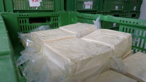 Frischer Tofu wartet im Kühlraum der Tofurei Engel in Widen AG darauf, etikettiert zu werden. Die getrockneten und gereinigten Sohabohnen werden in neun Schritten zum fertigen Tofu. (Bilder jsc)