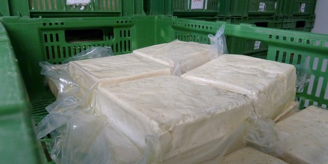 Frischer Tofu wartet im Kühlraum der Tofurei Engel in Widen AG darauf, etikettiert zu werden. Die getrockneten und gereinigten Sohabohnen werden in neun Schritten zum fertigen Tofu. (Bilder jsc)