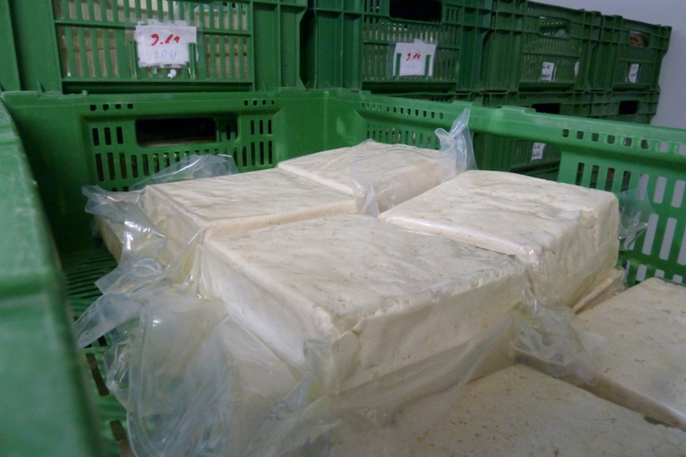 Frischer Tofu wartet im Kühlraum der Tofurei Engel in Widen AG darauf, etikettiert zu werden. Die getrockneten und gereinigten Sohabohnen werden in neun Schritten zum fertigen Tofu. (Bilder jsc)