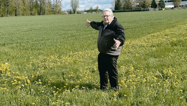 «Hier soll ein Retentionsbecken entstehen», sagt Paul von Euw. Der Flughafen will darin den Abfluss aus den Enteisungsprozessen ableiten. «Besser wäre es, den Abfluss direkt in einen Tank zu führen und als Sondermüll zu entsorgen», so von Euw. 