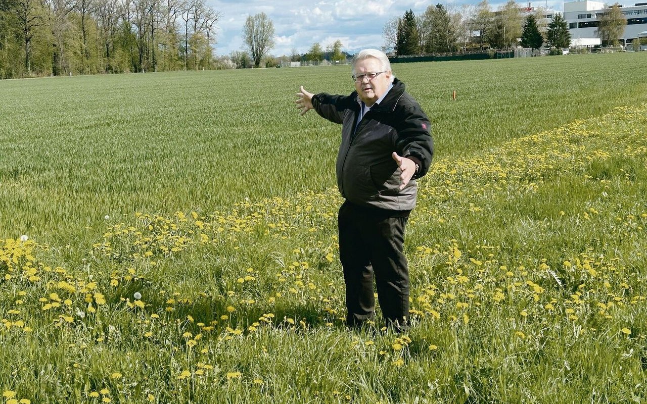 «Hier soll ein Retentionsbecken entstehen», sagt Paul von Euw. Der Flughafen will darin den Abfluss aus den Enteisungsprozessen ableiten. «Besser wäre es, den Abfluss direkt in einen Tank zu führen und als Sondermüll zu entsorgen», so von Euw. 