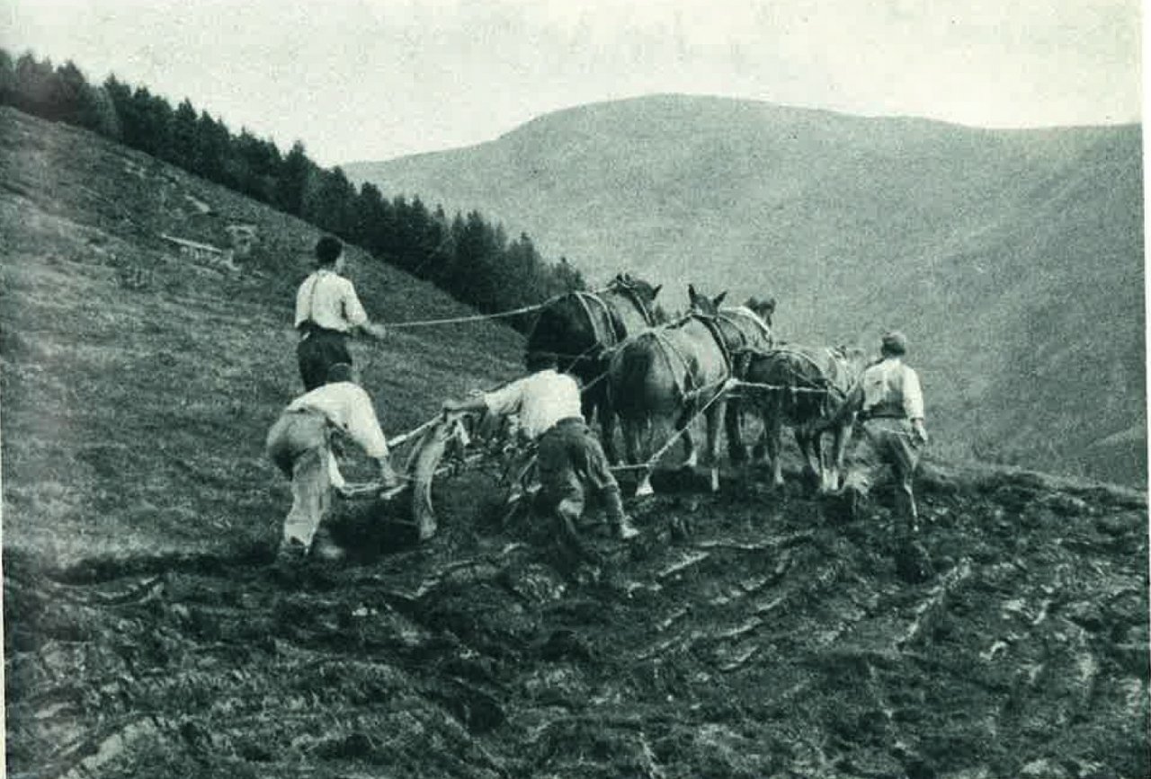 Auf diesem Grossbauernbetrieb des Berggebiets wurde der schwierige Mehranbau betrieben. (Bild Schiefer)