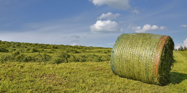 Der Nutzen von Investitionen ist oft nur schätzbar. Dasselbe gilt für ein optimiertes Auflagedruck-Regelsystem. Anbieter versprechen aber hohe Futterqualität und einen reduzierten Verschleiss.(Bild ak)